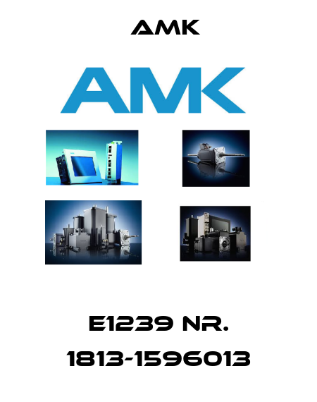 E1239 NR. 1813-1596013 AMK