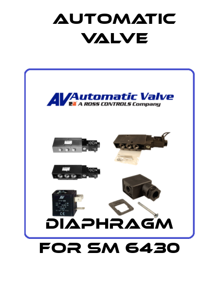 diaphragm for SM 6430 Automatic Valve