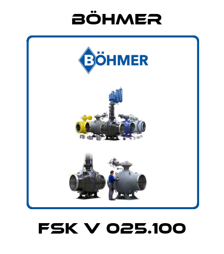 FSK V 025.100 Böhmer