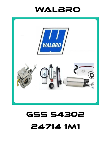 GSS 54302 24714 1M1 Walbro