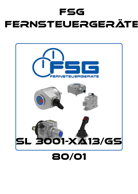 SL 3001-XA13/GS 80/01 FSG Fernsteuergeräte