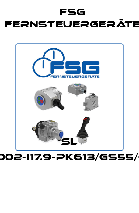 SL 3002-I17.9-PK613/GS55/01  FSG Fernsteuergeräte