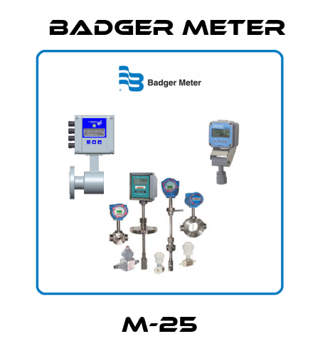 M-25 Badger Meter