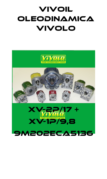 XV-2P/17 + XV-1P/9,8  9M202ECA5136 Vivoil Oleodinamica Vivolo