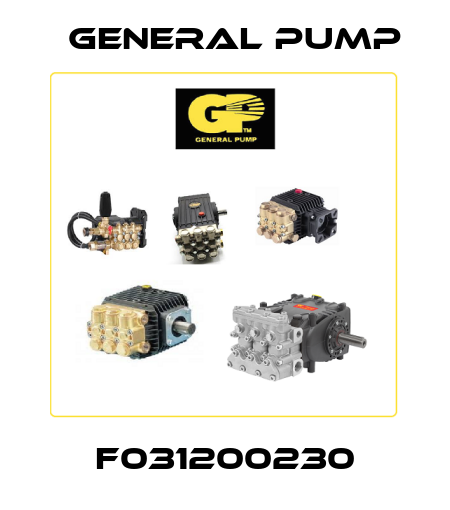 F031200230 General Pump