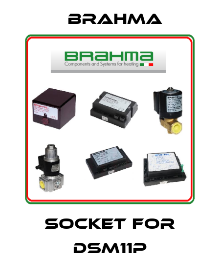 Socket for DSM11P Brahma