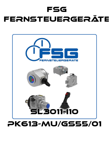 SL3011-I10 PK613-MU/GS55/01  FSG Fernsteuergeräte