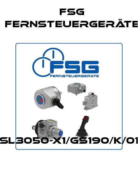 SL3050-X1/GS190/K/01  FSG Fernsteuergeräte