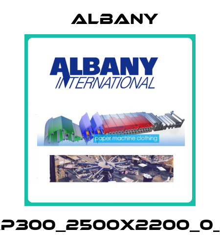 RP300_2500x2200_0_L Albany