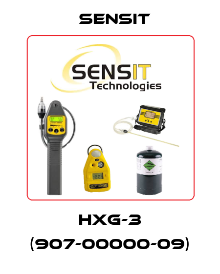 HXG-3 (907-00000-09) Sensit