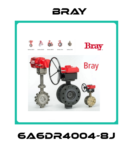 6A6DR4004-8J Bray