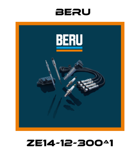 ZE14-12-300ª1 Beru