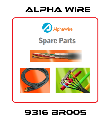 9316 BR005 Alpha Wire