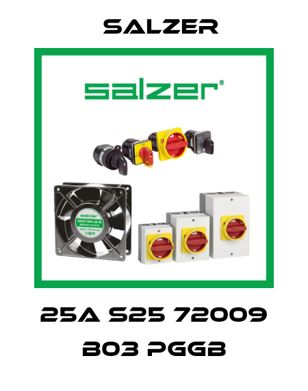 25A S25 72009 B03 PGGB Salzer