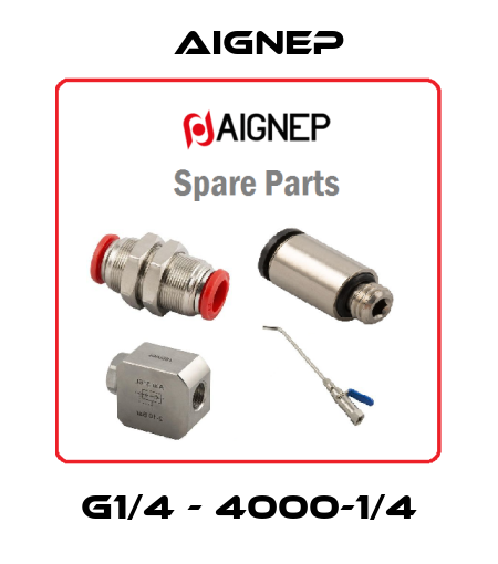 G1/4 - 4000-1/4 Aignep