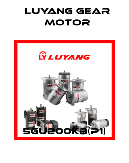 5GU200KB(P1) Luyang Gear Motor