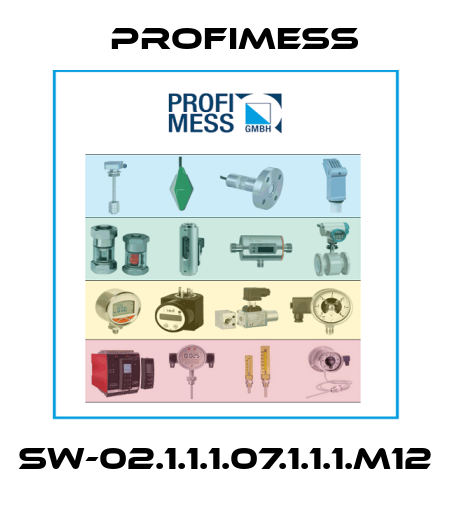 SW-02.1.1.1.07.1.1.1.M12 Profimess