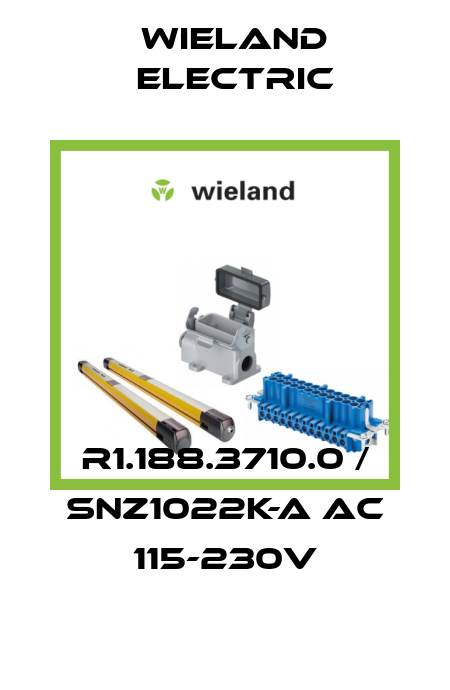 R1.188.3710.0 / SNZ1022K-A AC 115-230V Wieland Electric