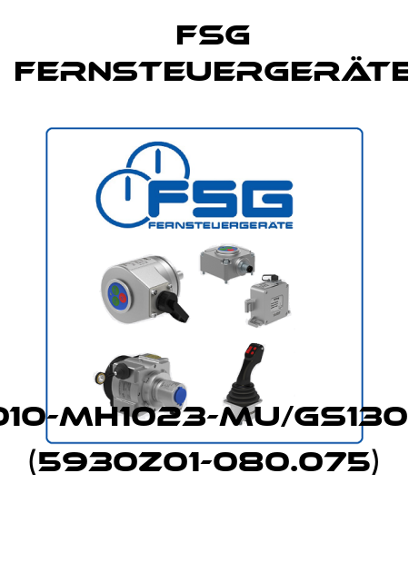 SL3010-MH1023-MU/GS130/G-01 (5930Z01-080.075) FSG Fernsteuergeräte