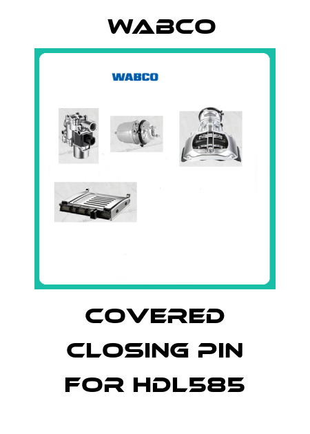 Covered closing pin for HDL585 Wabco