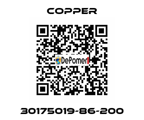 30175019-86-200 Copper