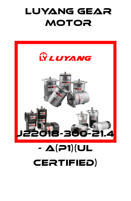 J22018-300-21.4 - A(P1)(UL certified) Luyang Gear Motor