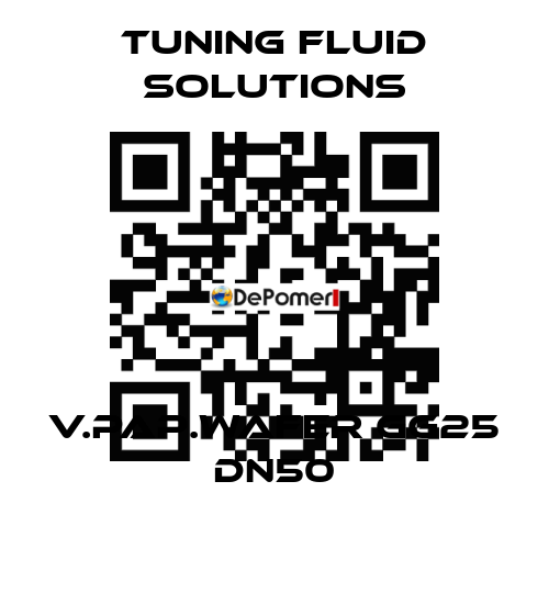 V.PAP.WAFER GG25 DN50 Tuning Fluid Solutions