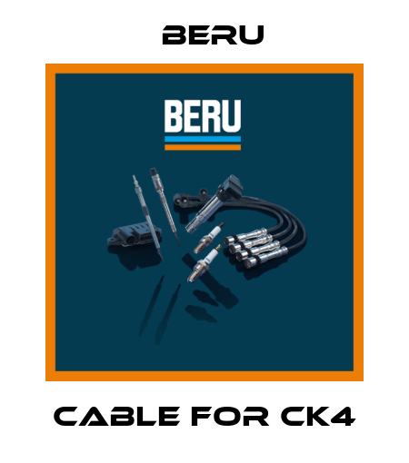cable for CK4 Beru