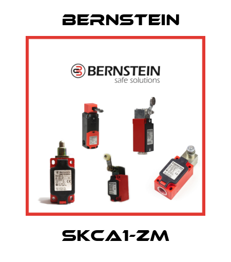 SKCA1-ZM Bernstein