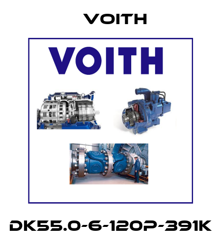 DK55.0-6-120P-391K Voith