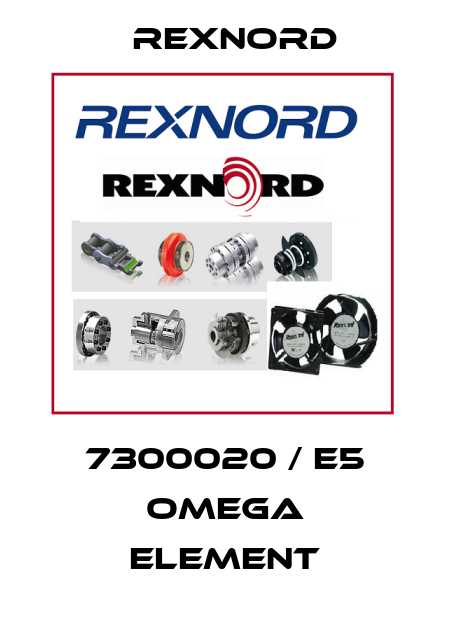 7300020 / E5 Omega Element Rexnord