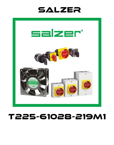T225-61028-219M1  Salzer