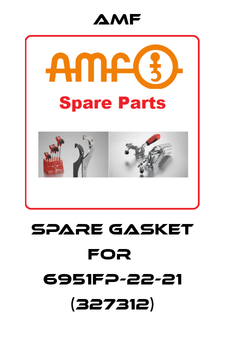 spare gasket for  6951FP-22-21 (327312) Amf