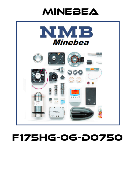 F175HG-06-D0750  Minebea