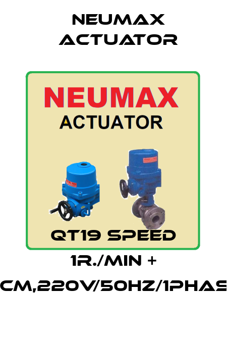 QT19 speed 1r./min + PCM,220V/50Hz/1Phase Neumax Actuator
