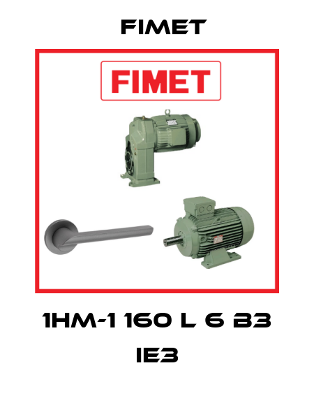 1HM-1 160 L 6 B3 IE3 Fimet