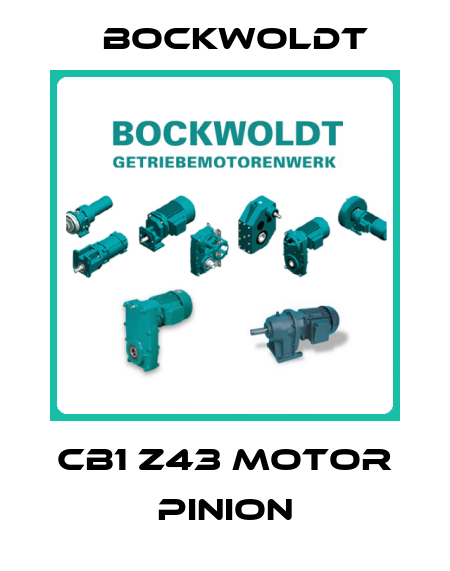 CB1 Z43 motor pinion Bockwoldt