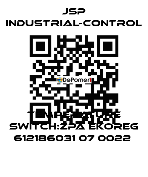 TEMPERATURE SWITCH:ZPA EKOREG 612186031 07 0022  JSP Industrial-Control