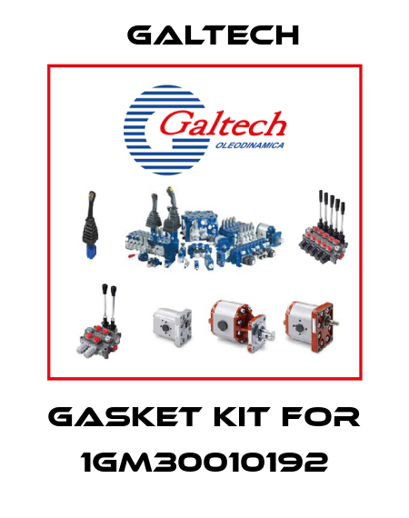 Gasket kit for 1GM30010192 Galtech