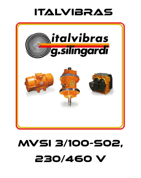 MVSI 3/100-S02, 230/460 V Italvibras