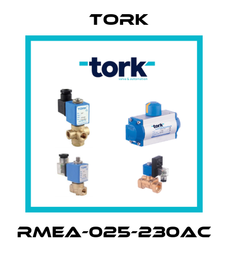 RMEA-025-230AC Tork