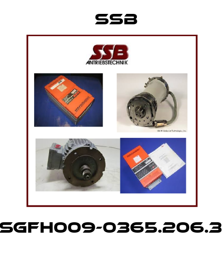 DS-SgFH009-0365.206.30.K1 SSB