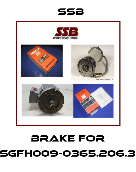 brake for DS-SgFH009-0365.206.30.K1 SSB