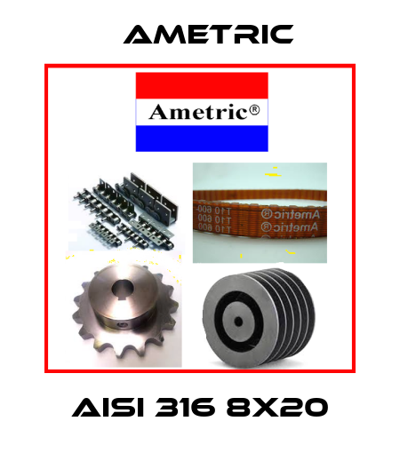 AISI 316 8X20 Ametric
