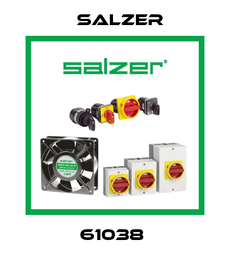 61038  Salzer