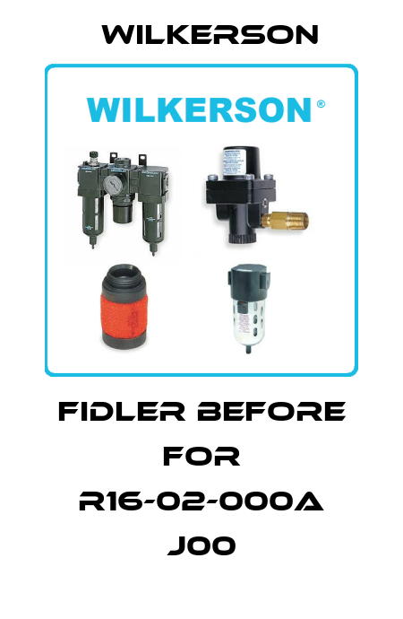 Fidler before for R16-02-000A J00 Wilkerson