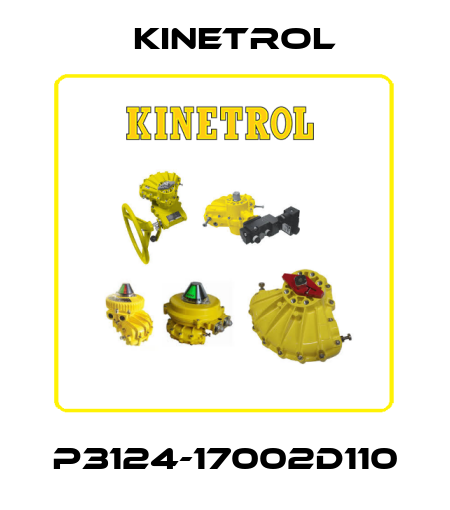 P3124-17002D110 Kinetrol