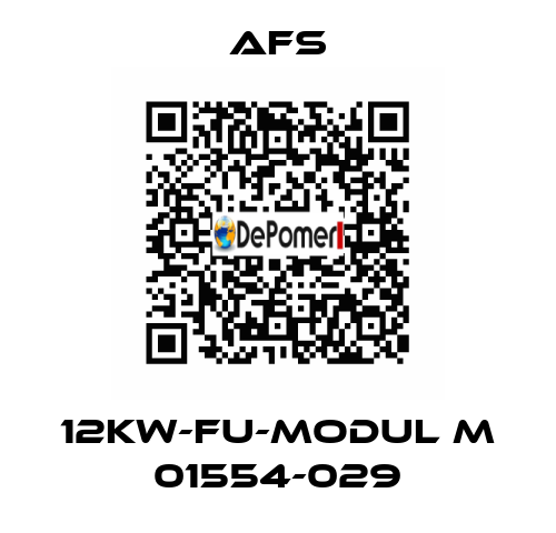  12KW-FU-MODUL M 01554-029 Afs