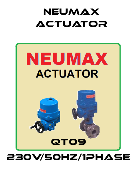 QT09 230V/50Hz/1Phase Neumax Actuator