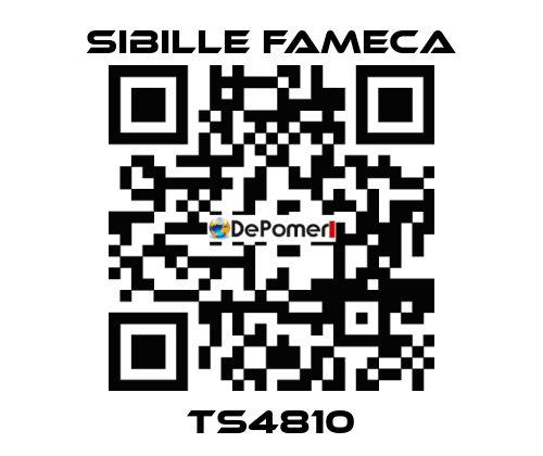 TS4810 Sibille Fameca